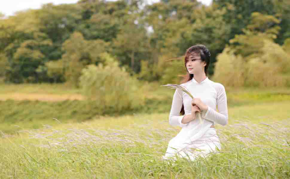 美国多ip站群服务器