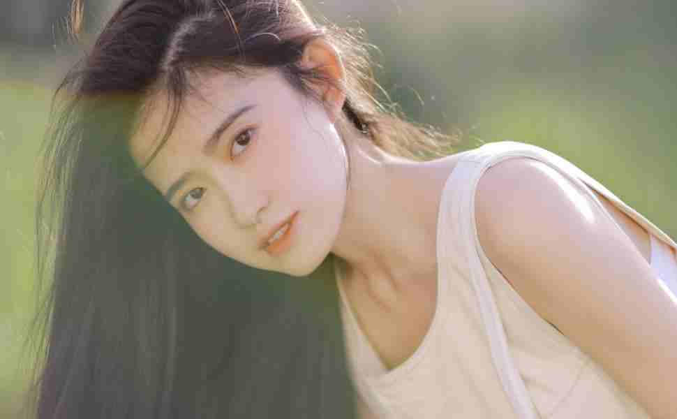 seo用站群做快排